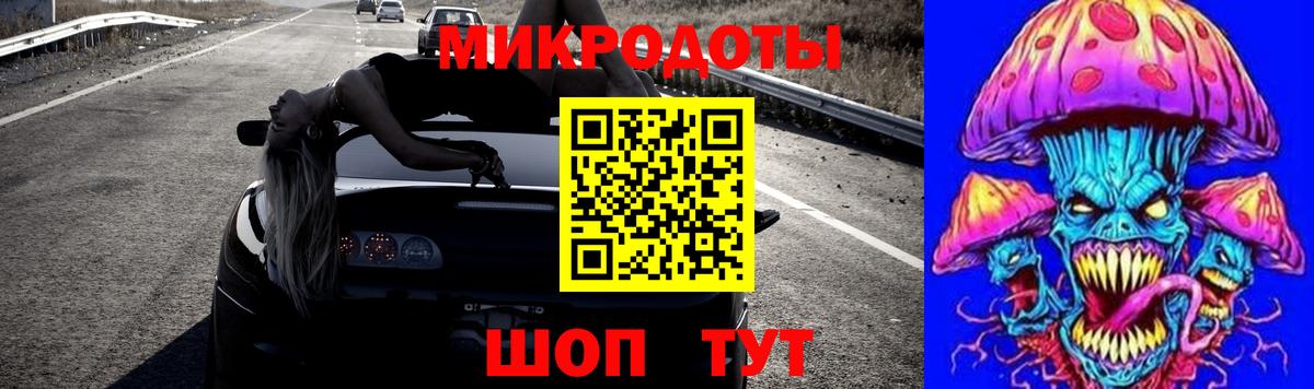 Псилоцибиновые грибы Psilocybe Сланцы