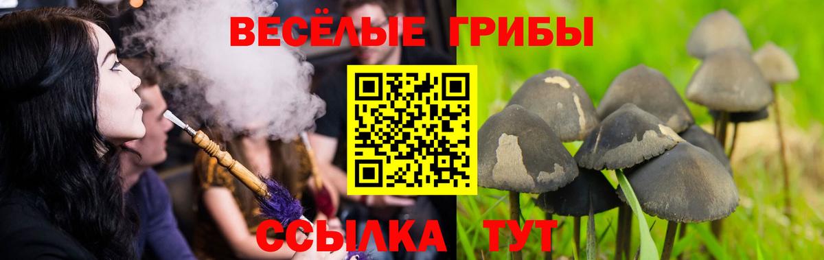 Сланцы  купить закладку  Вход с VPN  Псилоцибиновые грибы MAGIC MUSHROOMS 